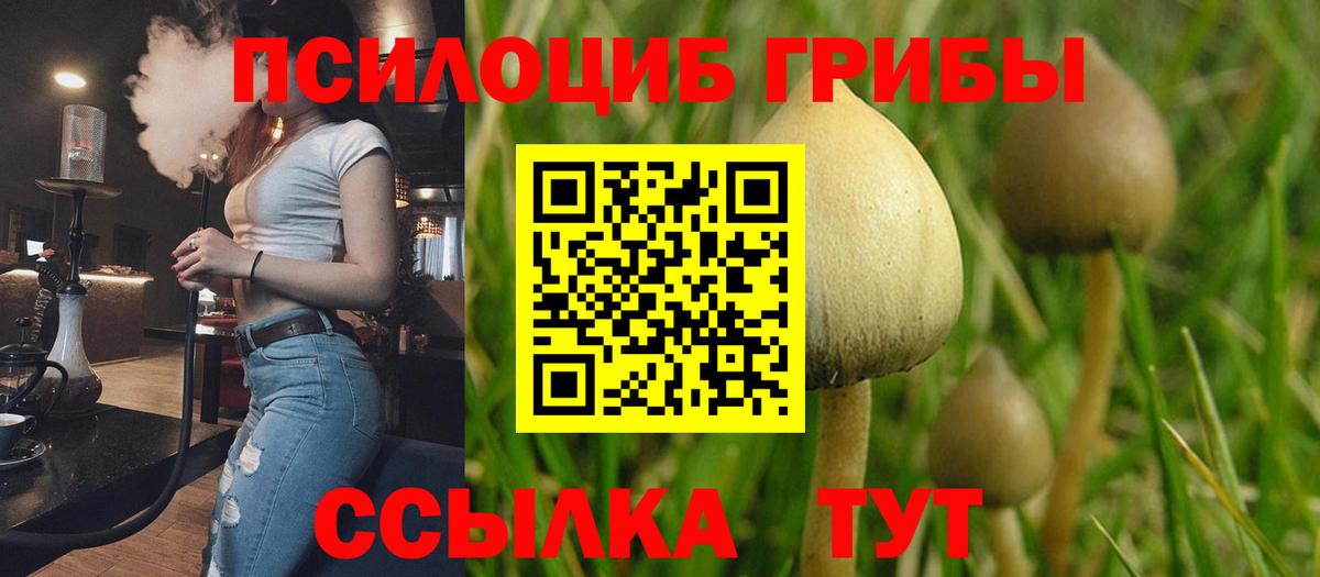 где продают   Вход с VPN  Советск  Галлюциногенные грибы Magic Shrooms 